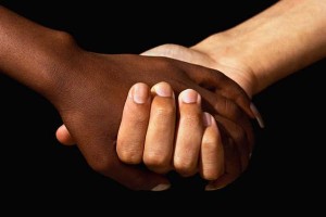 integracion racial